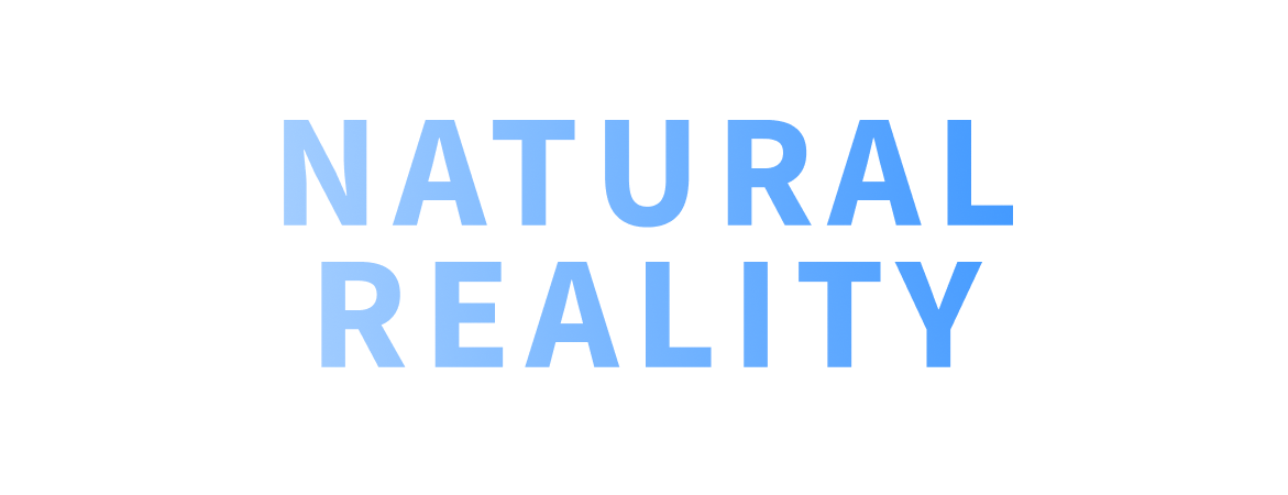 Portal Natural Reality Technology Logo